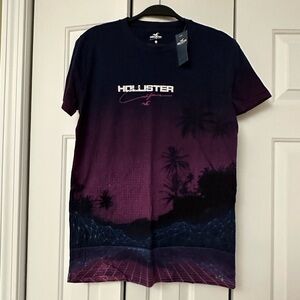 NWT (S) Mens Hollister T Shirt